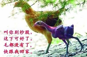 炒股的危害